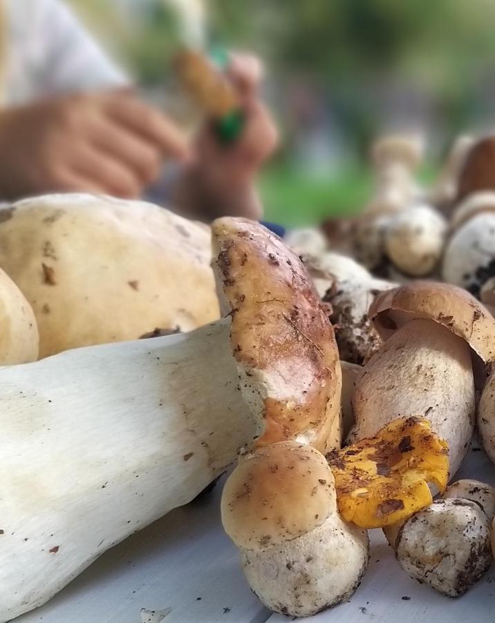 Przystan Na Zagorzu - Apartamenty Nad Jeziorem Drezdenko المظهر الخارجي الصورة
